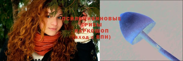 тгк Бугульма