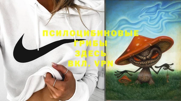 гашиш Бородино